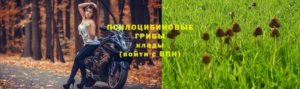 герыч Алексеевка