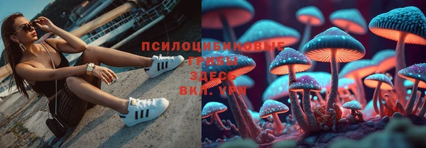 герыч Алексеевка