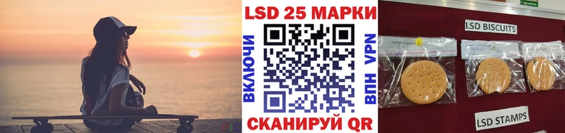 Марки NBOMe 1500мкг kraken вход Андреаполь купить закладку