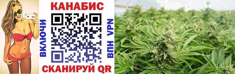 купить  цена  Андреаполь  Конопля индика 